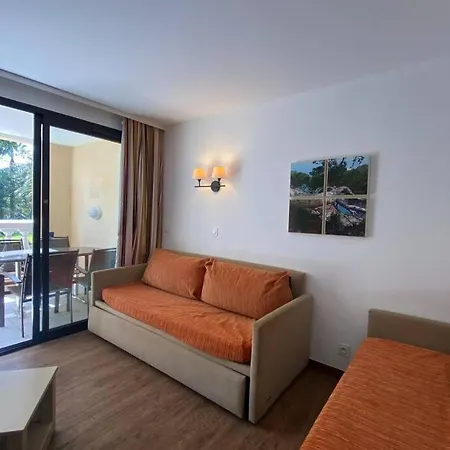 C036 Agreable Au Sein D'une Belle De * Cannes